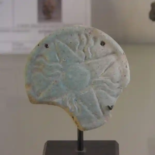 Four-point cross with rays inside a circle